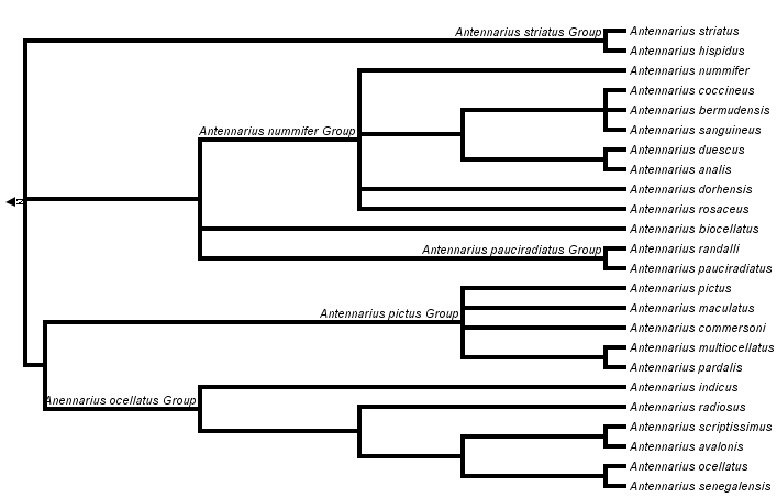 taxon links