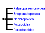 taxon links