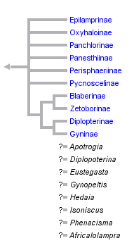 taxon links