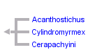 taxon links