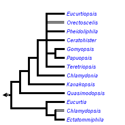 taxon links