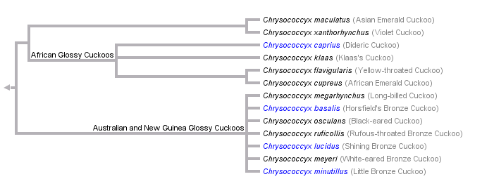 taxon links