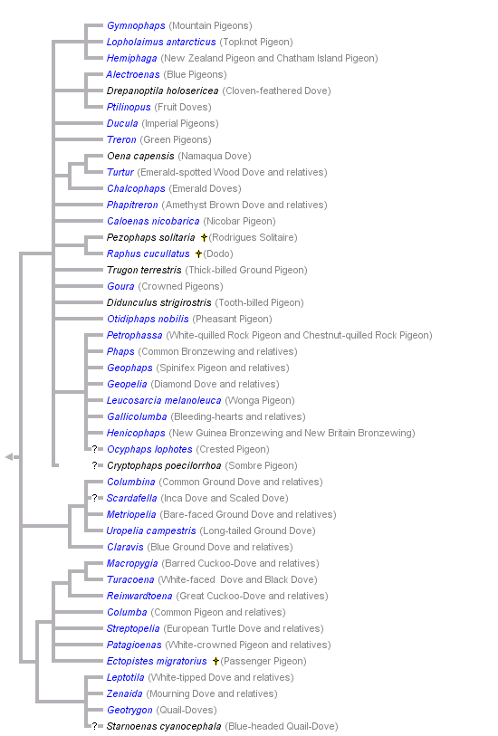 taxon links