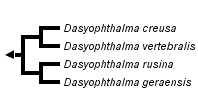 taxon links