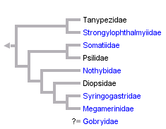 taxon links