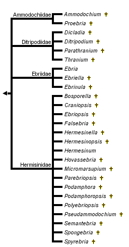 taxon links