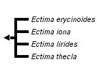 taxon links