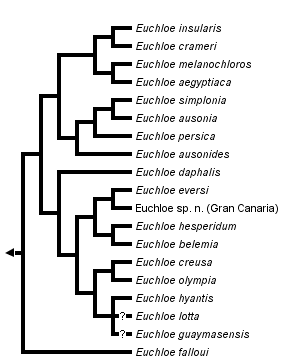 taxon links