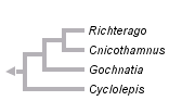 taxon links