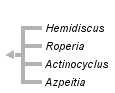 taxon links