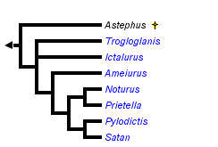 taxon links