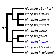 taxon links