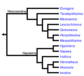 taxon links