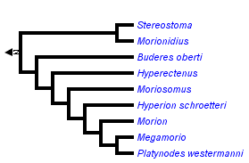 taxon links