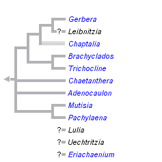 taxon links