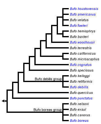 taxon links