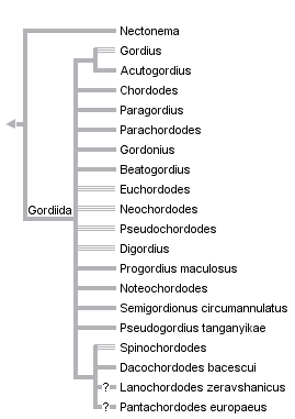 taxon links