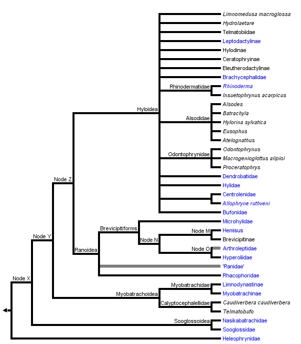 taxon links