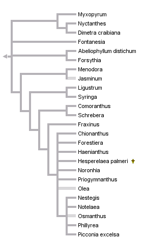 taxon links