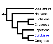 taxon links