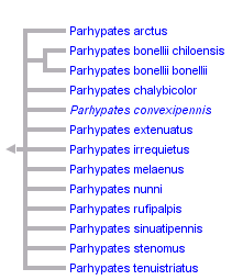 taxon links