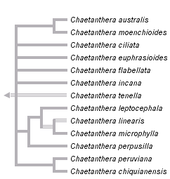 taxon links