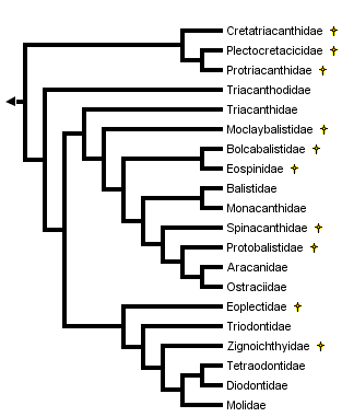 taxon links