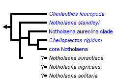 taxon links